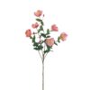 nepbloemen Hypericum 58 cm roze