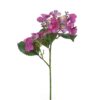 nepbloemen klimhortensia 45 cm violet